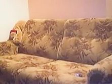 Cheating swedish wife