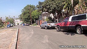 Darla Crane Hardcore Movie