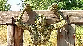 Strange Flexible Being In Nature – Watch4Fetish