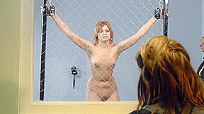 The Milgram Experiment – 2