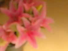 Amazing Japanese chick Azusa Maki in Incredible Wife JAV movie