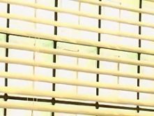 Amazing Japanese chick in Best Secretary, Cunnilingus JAV clip