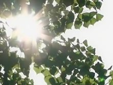 Amazing Japanese girl Junko Hayama in Hottest Fingering, Close-up JAV movie
