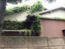 Amazing Japanese slut in Fabulous Wife, Compilation JAV movie