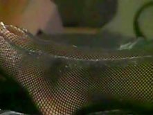 Amazing Japanese slut Maria Yumeno in Best Big Tits, Fishnet JAV movie