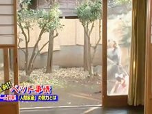 Amazing Japanese slut Mika Osawa in Fabulous Blowjob/Fera, Facial JAV video