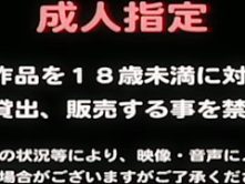 [AUKG-110] BUSTY BRIDE AND THE BEAUTIFUL MATURE LESBIAN
