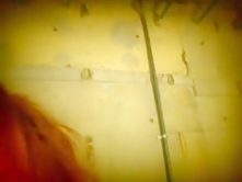 Crazy Japanese girl in Hottest Fingering, Facial JAV movie