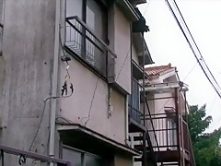 Exotic Japanese girl Tsubomi in Horny Girlfriend JAV clip