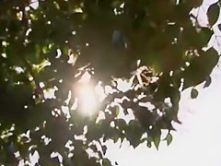 Exotic Japanese model Yui Seto in Incredible Compilation JAV clip