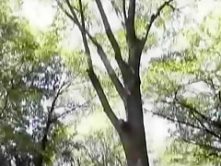 Exotic Japanese slut in Hottest Threesomes, BDSM JAV scene