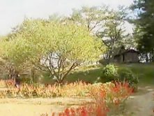 Exotic Japanese whore Chinatsu Anzai in Fabulous Cumshots, Close-up JAV scene