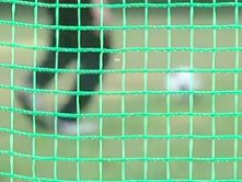 Horny Japanese girl Risa Kasumi in Hottest Fetish, Sports JAV scene