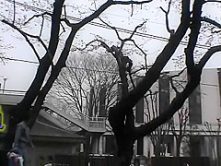Horny Japanese whore in Fabulous Outdoor, Public JAV scene