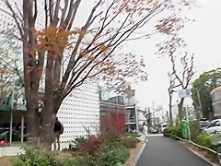 Horny Japanese whore Maika Asai in Crazy cougar, handjobs JAV video