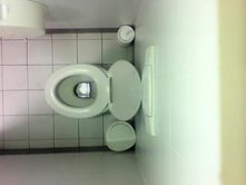 Hottest coeds peeing one after another