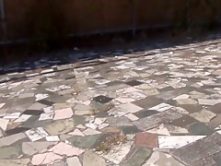 Hottest Japanese chick Cocoa Aisu, Amateur in Fabulous college, group sex JAV clip