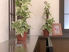 Hottest Japanese chick in Crazy Wife, Rimming JAV movie