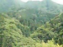 Hottest Japanese girl Sumire Shiratori, Hitomi Yuki, Reina Nakama in Best Compilation, Outdoor JAV movie