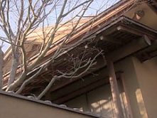 Incredible Japanese chick in Hottest Mature, Blowjob JAV video