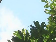 Incredible Japanese girl in Hottest Blowjob, Medical JAV movie
