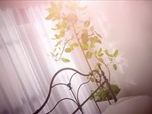 Miori in One Limitation AV Ban Rookie part 4