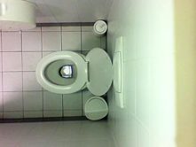Real girls voyeur bathroom