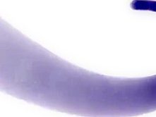SaayaLOVEBODY 10yeas Japanese Softcore