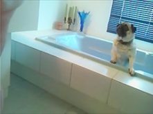SPYCAMTEEN TEEN TIGHT ASS CAUGHT ON CAM IN BATHROOM