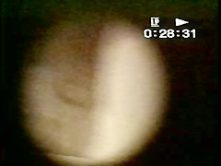voyeur spy hole hairy pussy naked & white panty