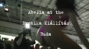 Abelia, Budapest 2010