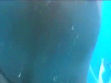 Beach, Amateur, Voyeur Movie Exclusive Version