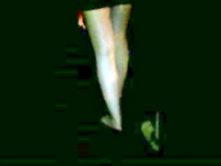 Candid leggy miniskirt teens