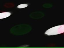 Dark but hot spy cam video of the pissing dirty action