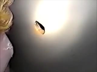 Glory hole sucking and fucking ends with nasty cumshots