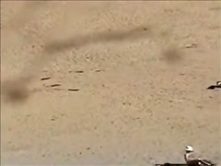 Group sex at nudist beach