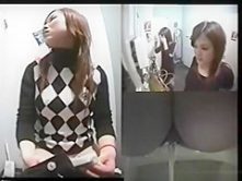 Hidden toilet cam