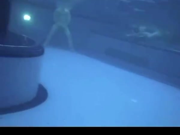 MALE NUDIST POOL
