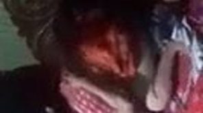 Bhabhi sex video